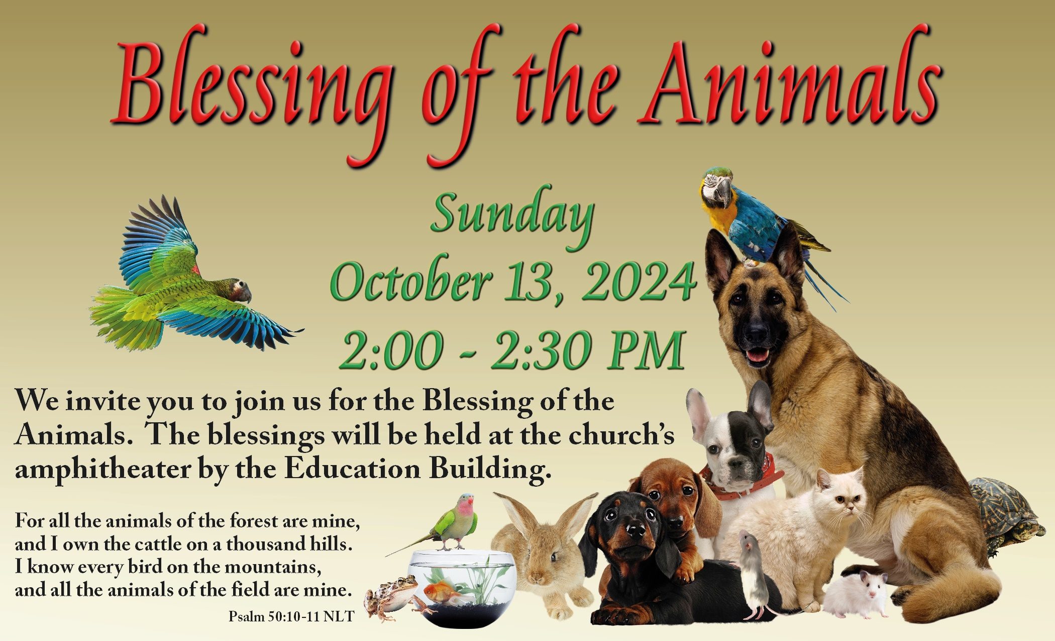 Blessing of the Animals, 2024